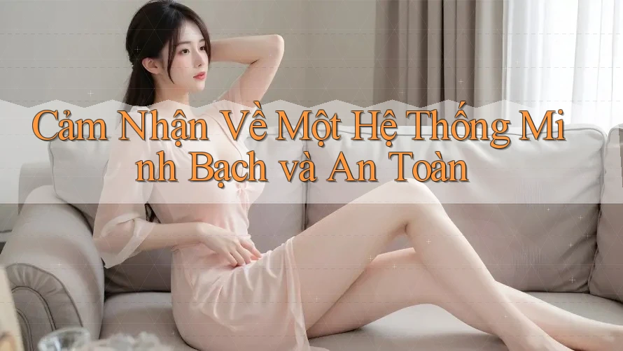 Cảm Nhận Về Một Hệ Thống Minh Bạch và An Toàn