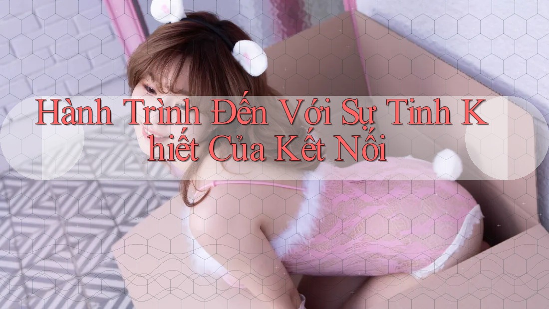 Hành Trình Đến Với Sự Tinh Khiết Của Kết Nối