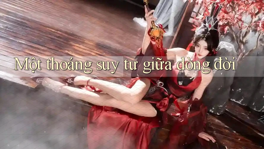 Một thoáng suy tư giữa dòng đời Một thoáng suy tư giữa dòng đời
