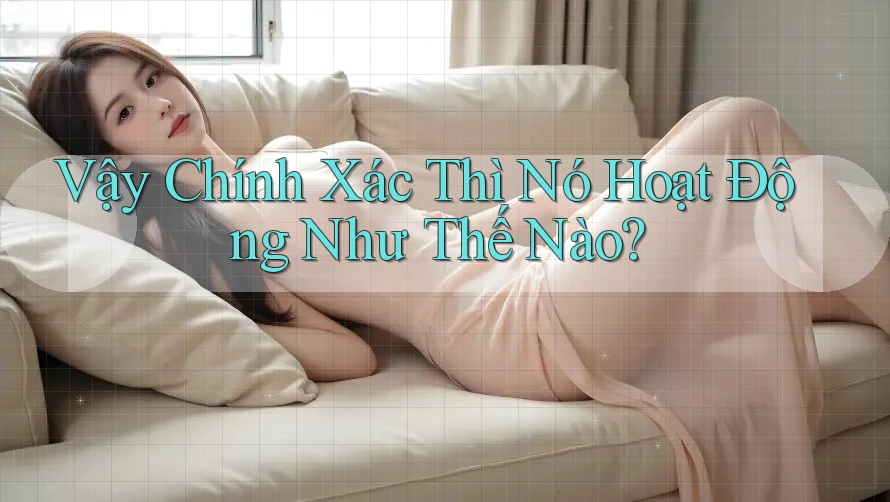 Vậy Chính Xác Thì Nó Hoạt Động Như Thế Nào?
